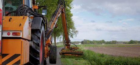 Manutenzione del verde